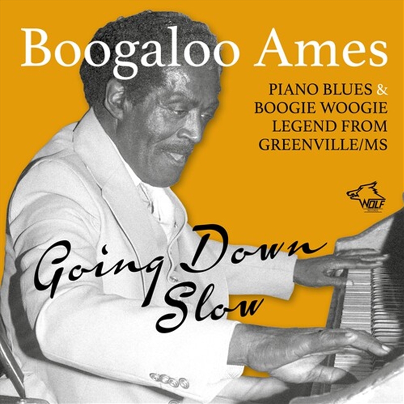 Going Down Slow/Product Detail/Blues