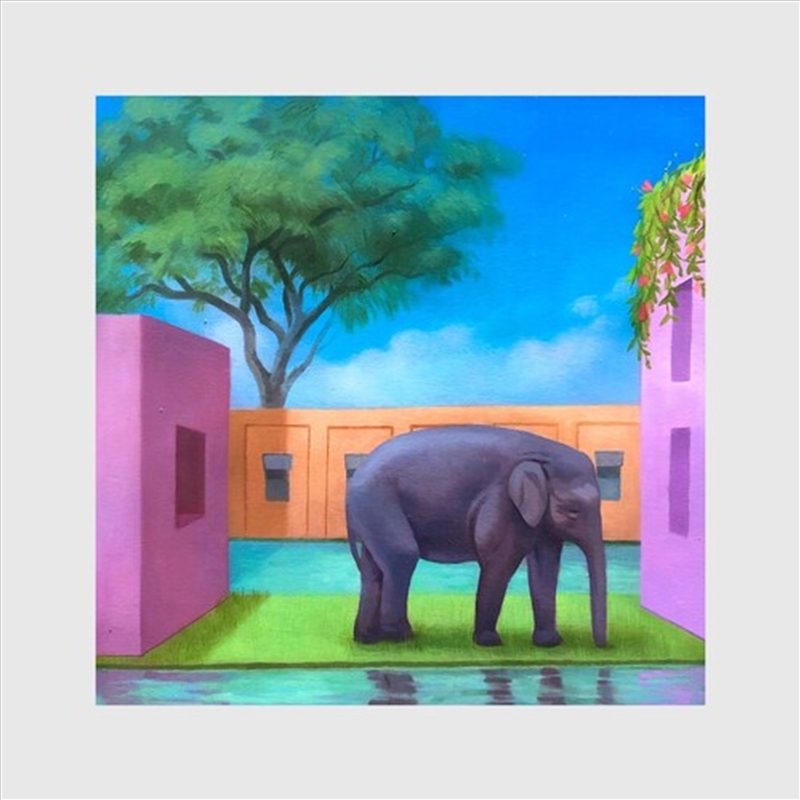 Elephant In The Room/Product Detail/Rock/Pop