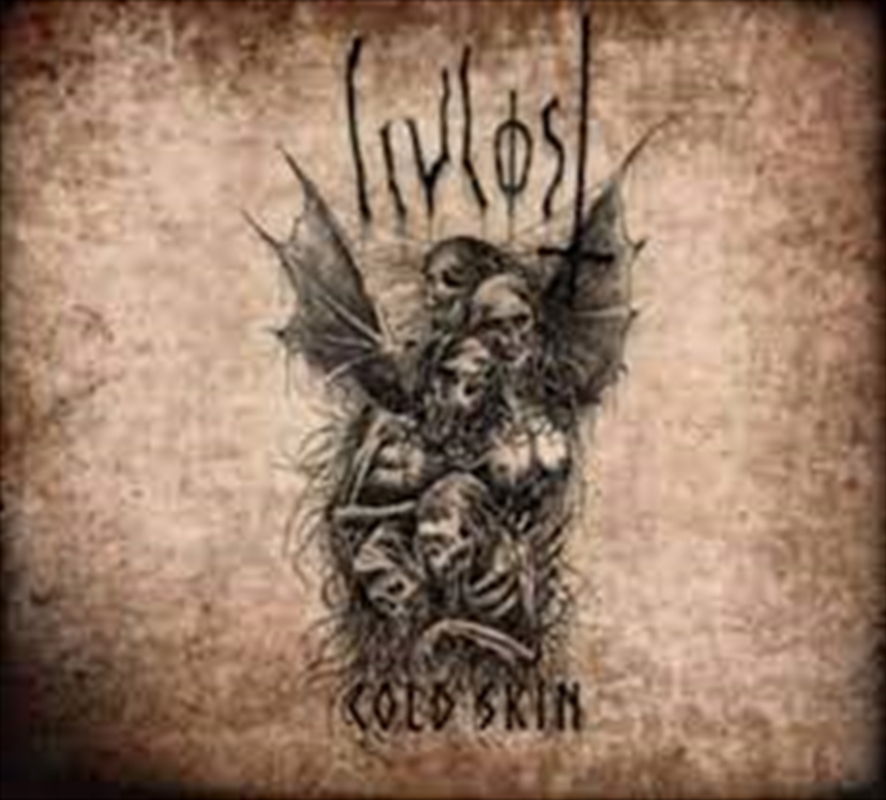 Cold Skin/Product Detail/Rock