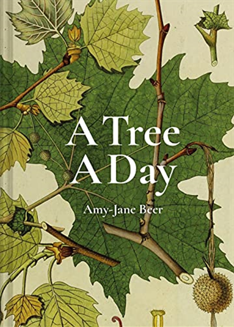 A Tree A Day/Product Detail/Animals & Nature