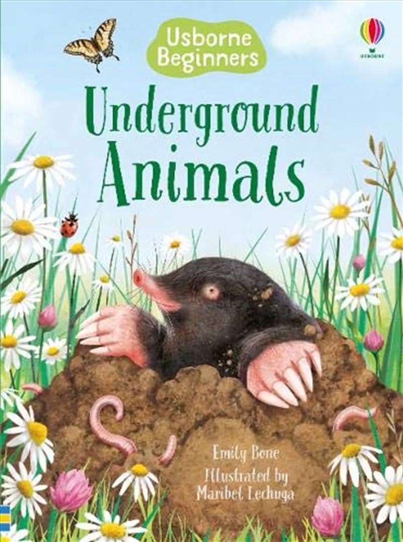 Animals Under The Ground/Product Detail/Kids Educational