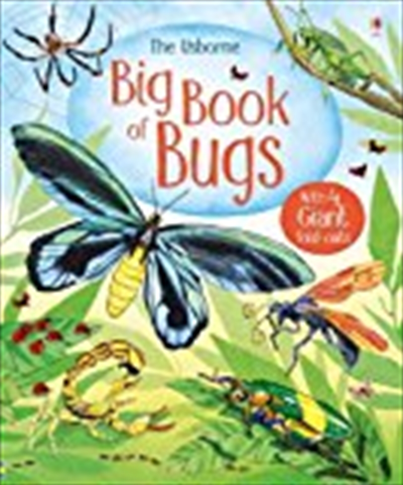 Big Book of Bugs (Big Books) (Big Books of Big Things)/Product Detail/Kids Educational