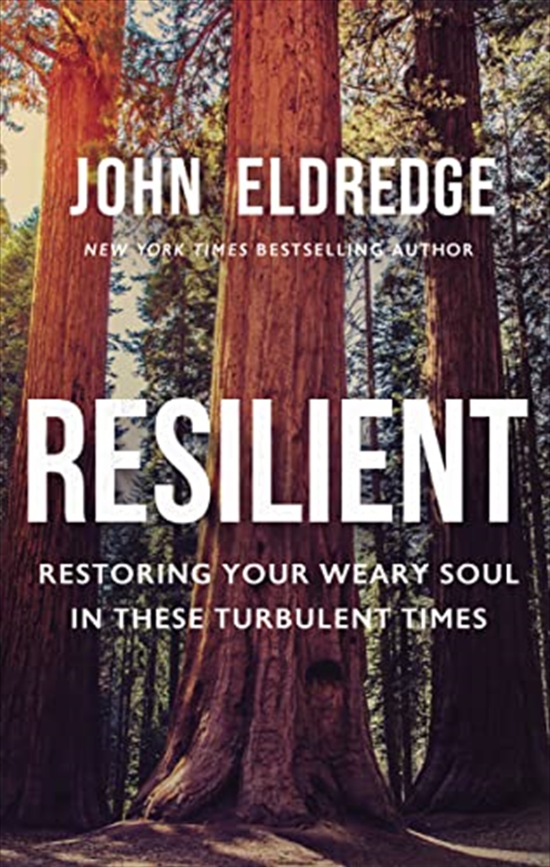 Resilient: Restoring Your Weary Soul in These Turbulent Times/Product Detail/Religion & Beliefs