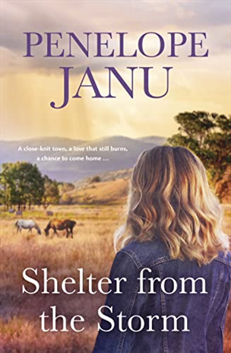 Shelter from the Storm/Product Detail/General Fiction Books