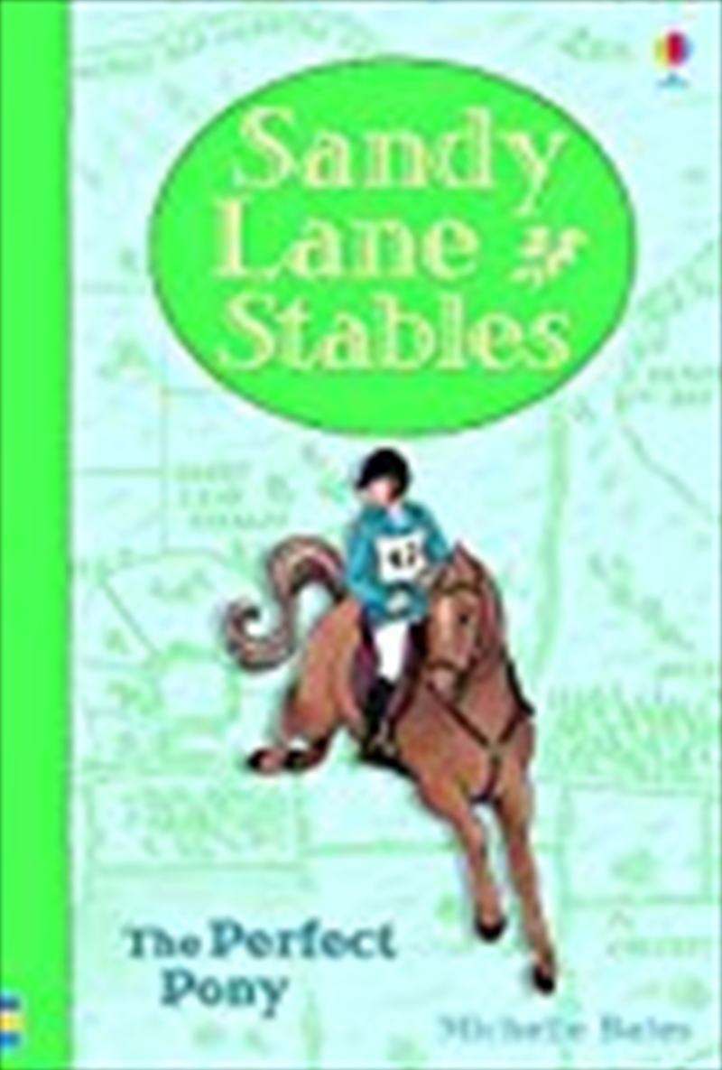 Sandy Lane Stables - The Perfect Pony (Young reading)/Product Detail/Childrens Fiction Books