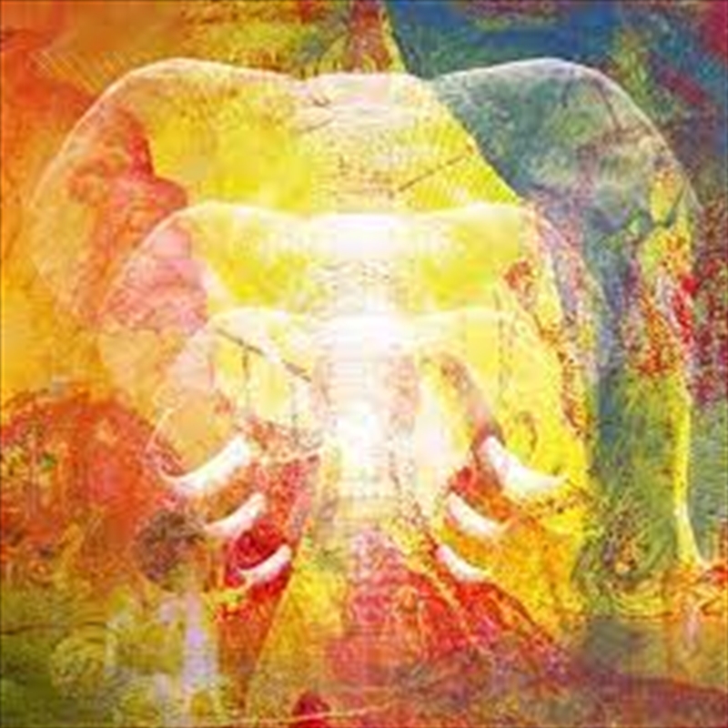 Elephants In Autumn Rage/Product Detail/Rock/Pop