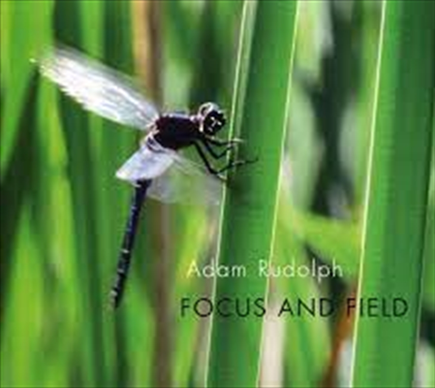 Focus And Field/Product Detail/Rock
