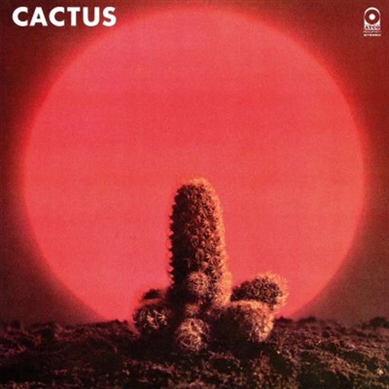 Cactus/Product Detail/Hard Rock