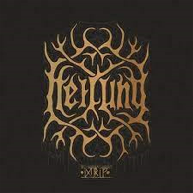 Drif/Product Detail/World