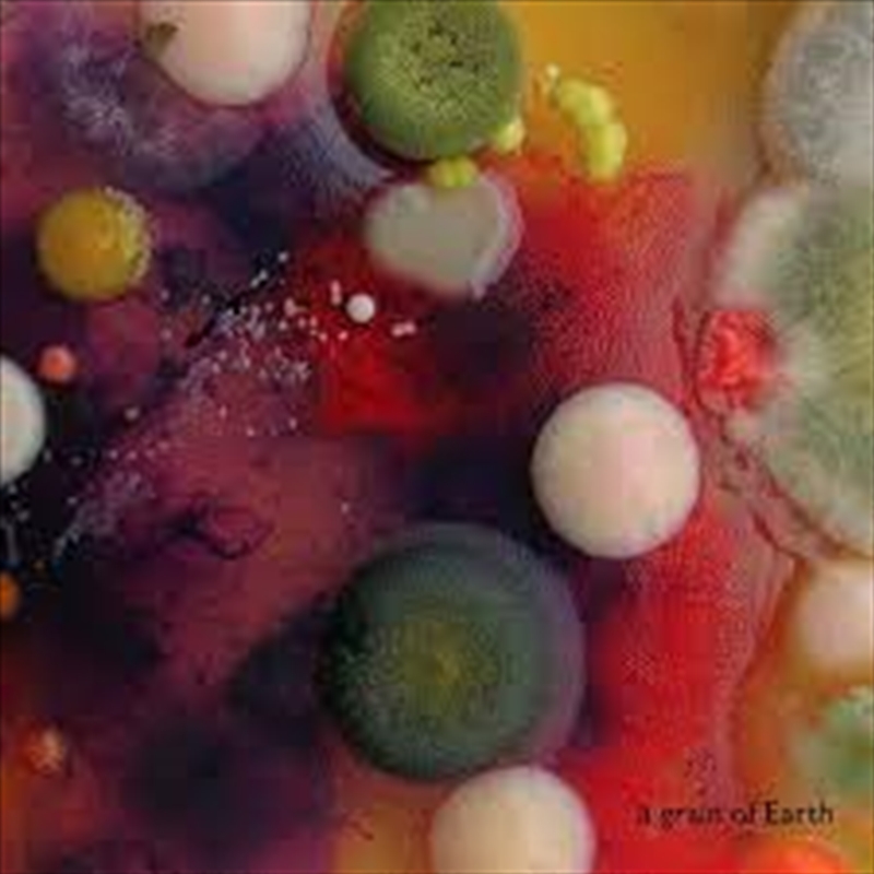 Grain Of Earth/Product Detail/Jazz