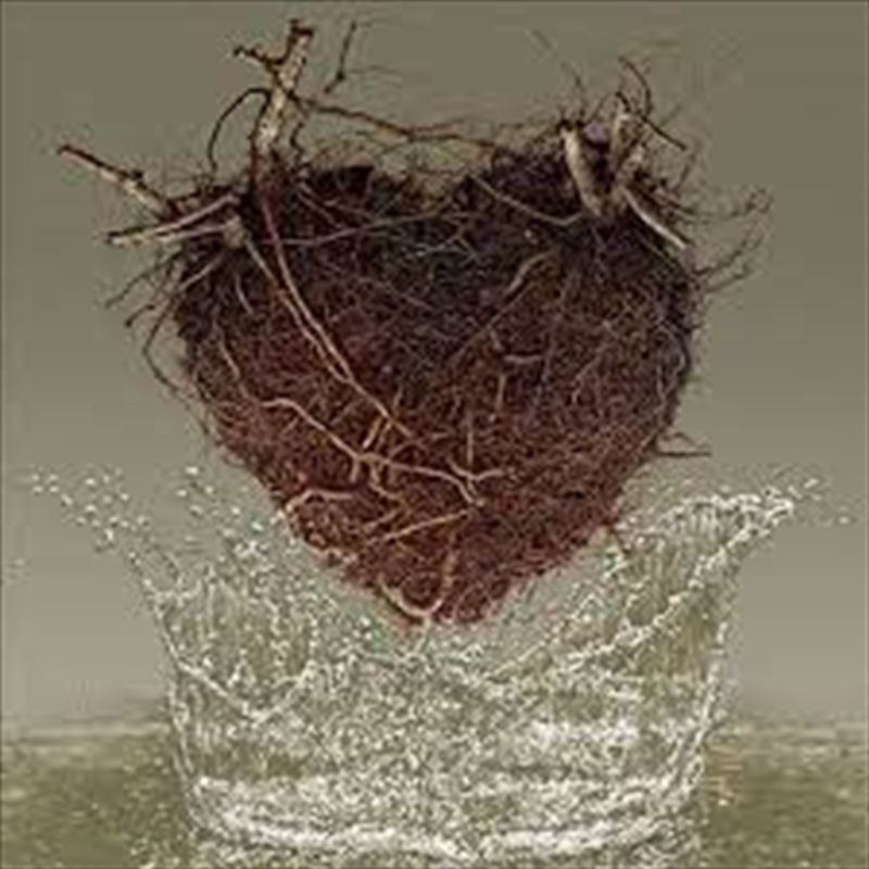 Las Canciones Del Agua/Product Detail/World