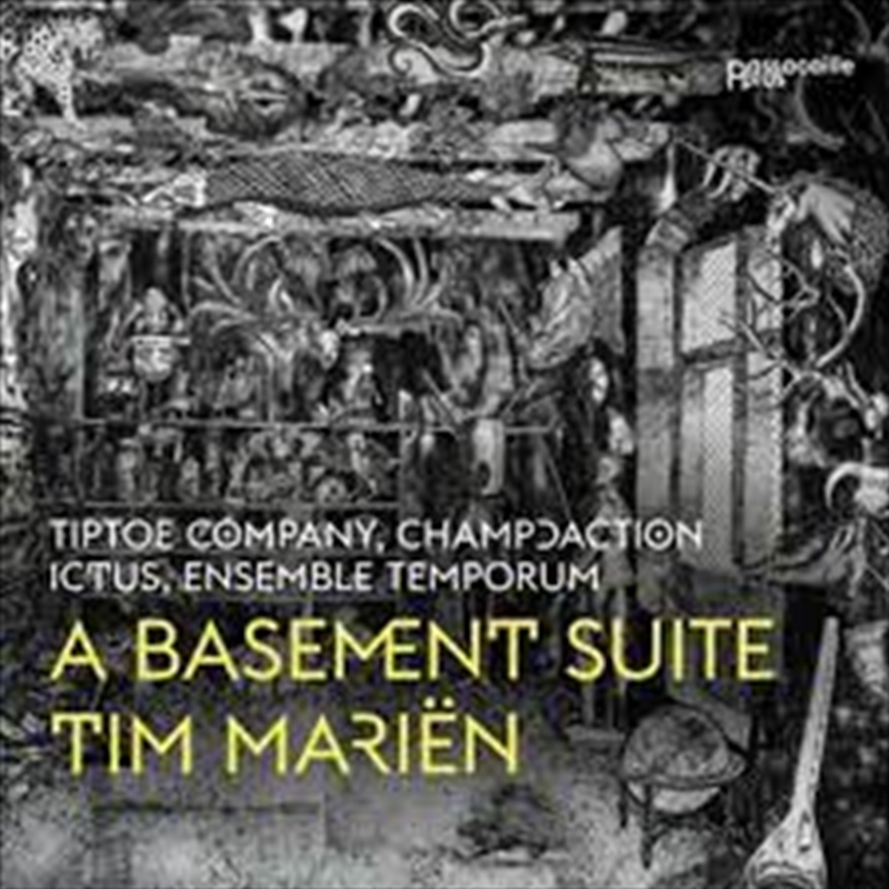 Basement Suite/Product Detail/Specialist