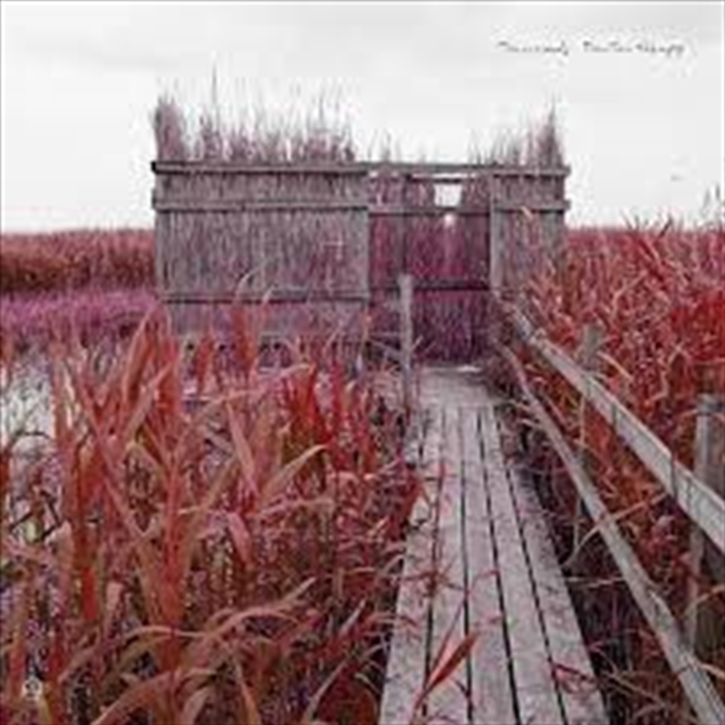 Tan Tan Therapy/Product Detail/World