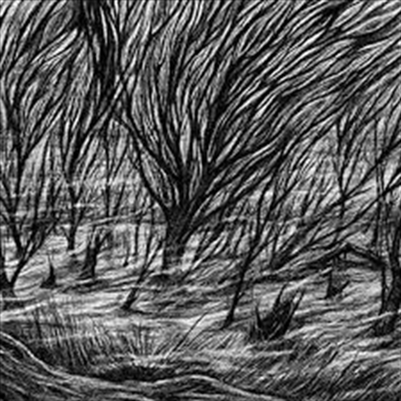 Eternal Marshes/Product Detail/Metal