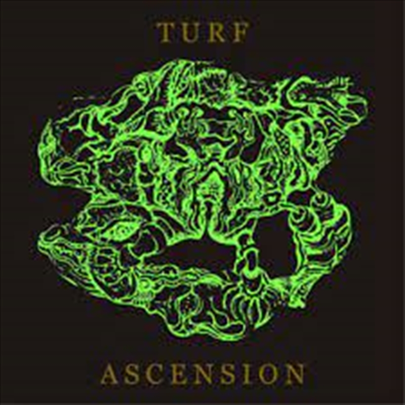 Turf Ascension/Product Detail/Rock/Pop