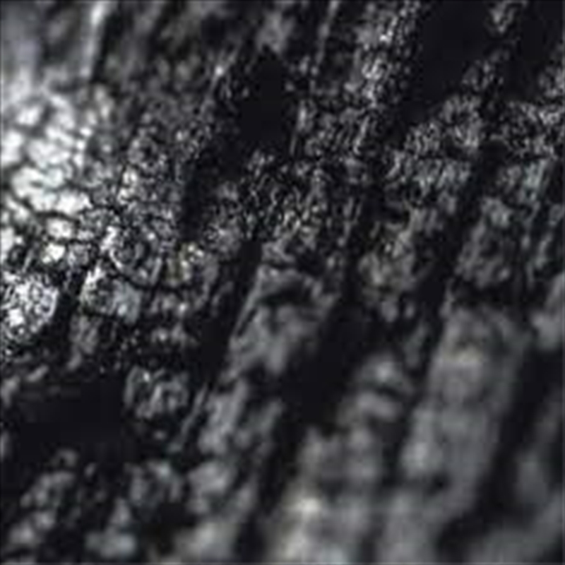 Plector/Product Detail/Dance