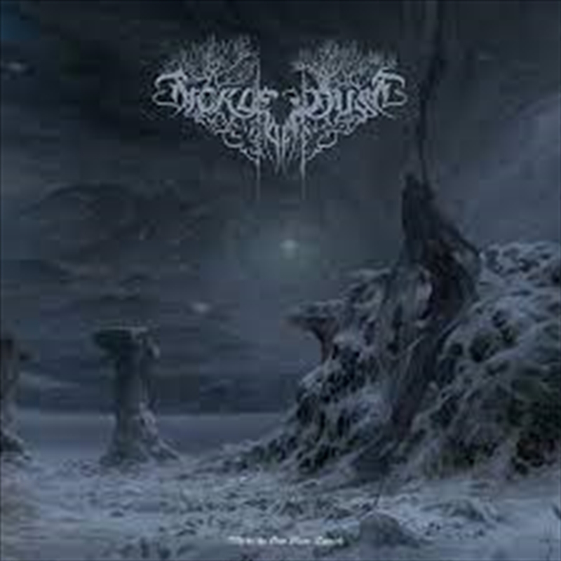 Where The Sun Glare Danced/Product Detail/Rock/Pop