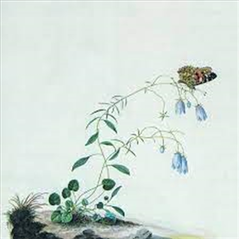 Encyclopedia Botanica Vol 1: The Rise Of Azalea/Product Detail/Rock/Pop