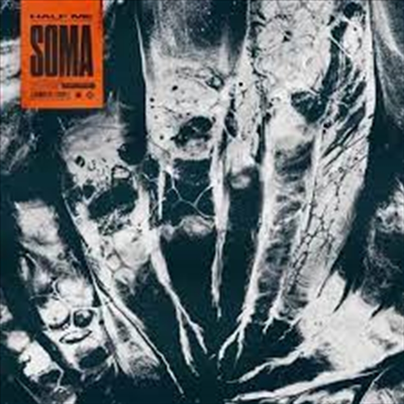 Soma/Product Detail/Rock/Pop