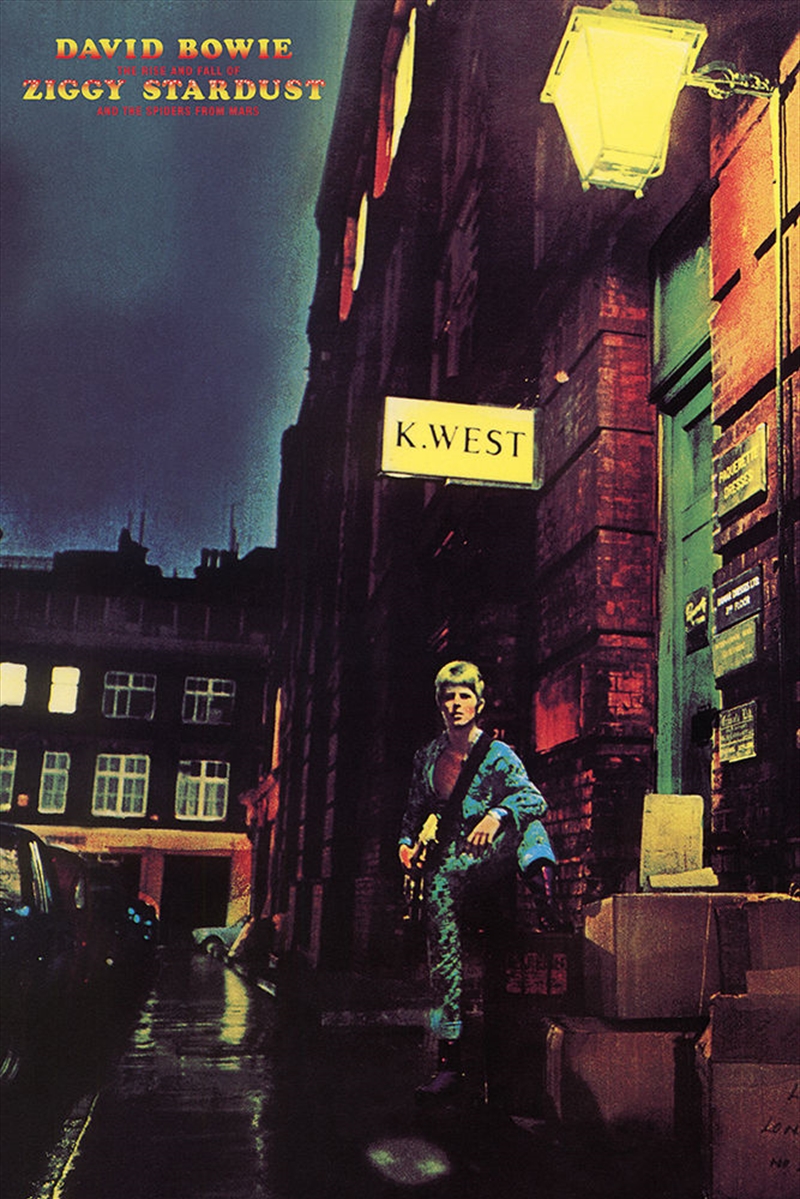 David Bowie Ziggy Stardust/Product Detail/Posters & Prints