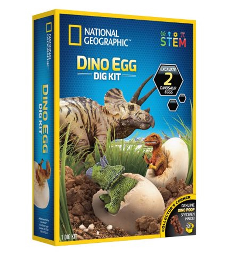 Dino Egg Dig Kit/Product Detail/Arts & Craft