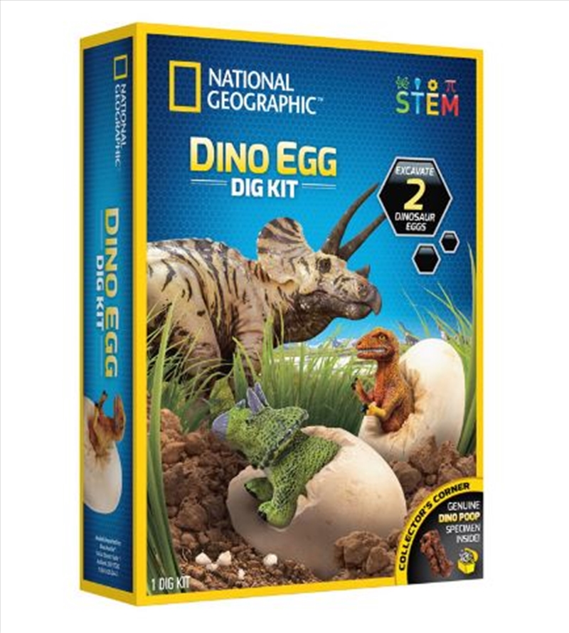 Dino Egg Dig Kit/Product Detail/Arts & Craft