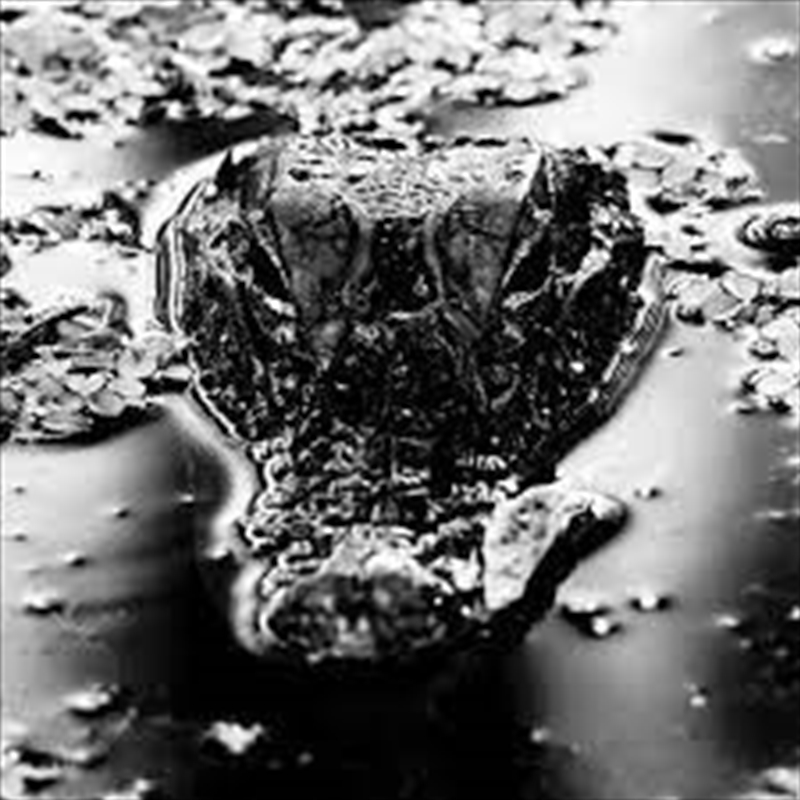 Emanation Body/Product Detail/Dance