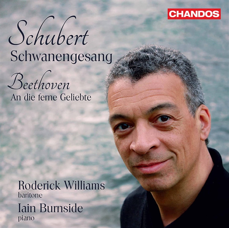Schwanengesang / Beethoven An/Product Detail/Classical