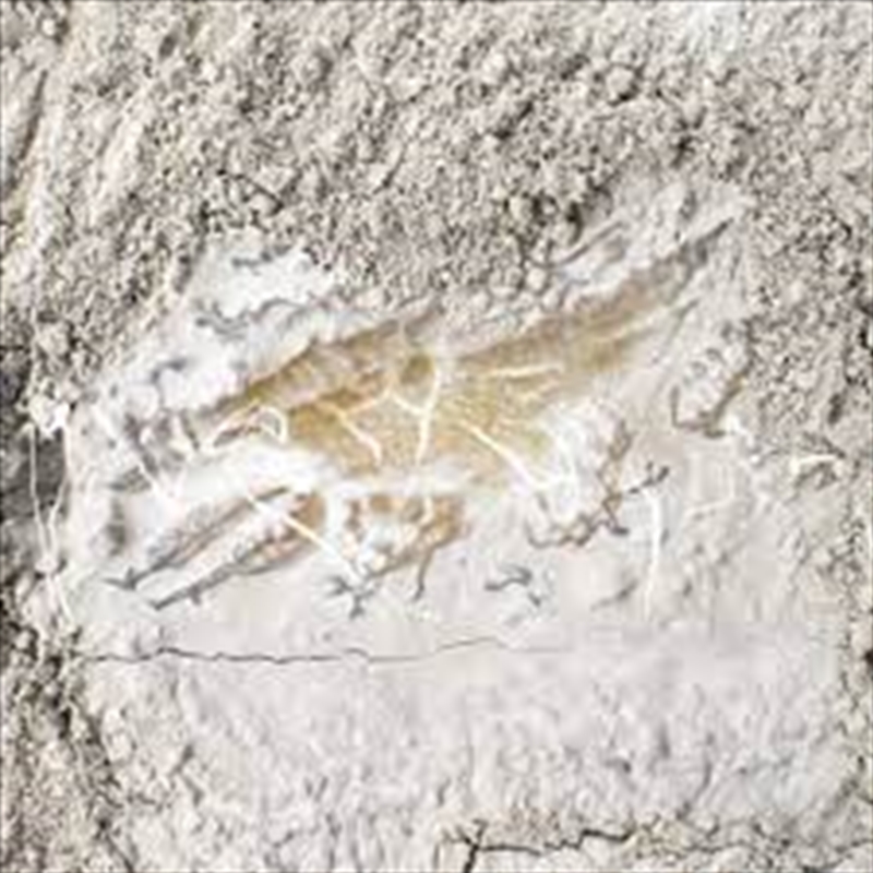 Everywhen/Product Detail/Blues