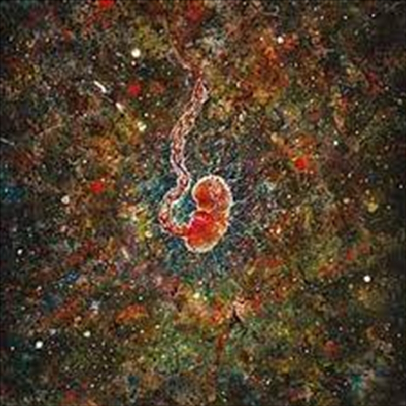 Trench Of Loneliness/Product Detail/Rock/Pop