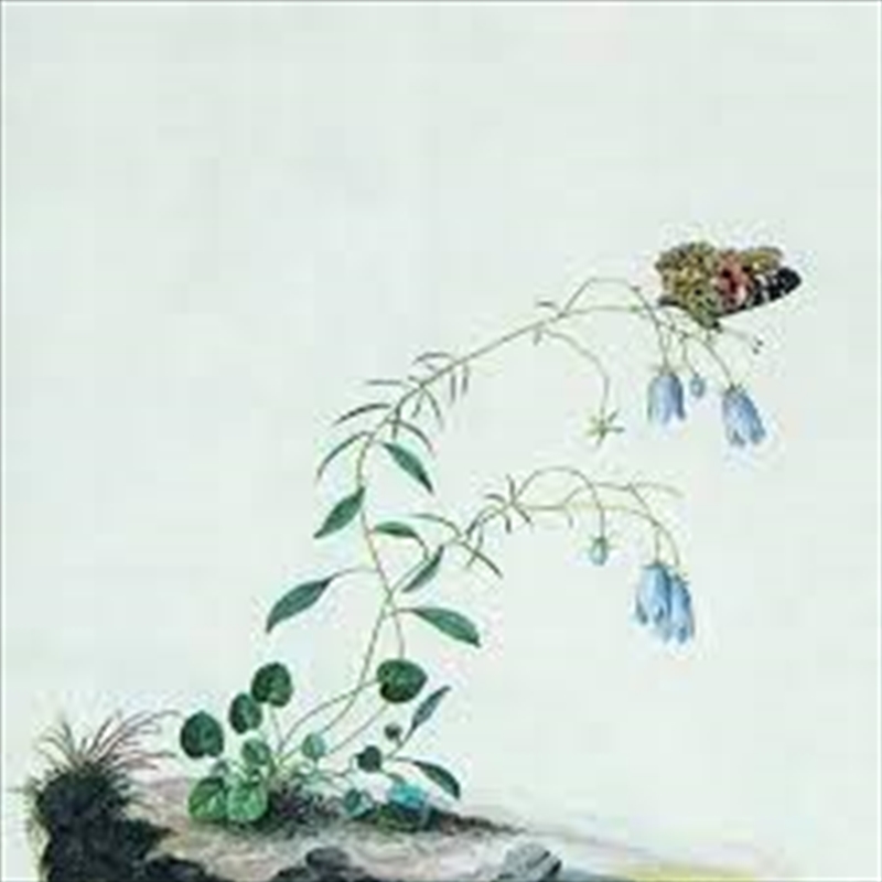 I: The Suicide Tree / II: A Rose From The Dead/Product Detail/Metal