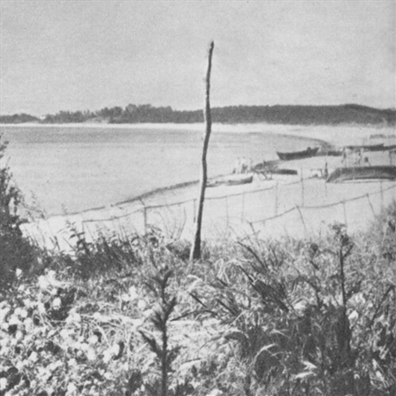 Battering Rams/Product Detail/Dance