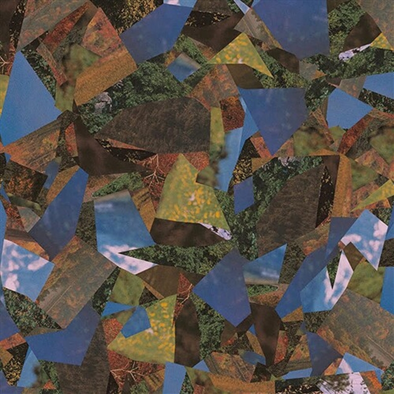 Songs Of Undoing/Product Detail/Rock/Pop