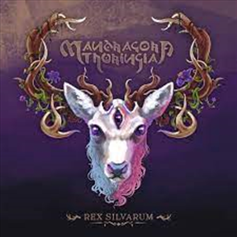 Rex Silvarum/Product Detail/Rock/Pop