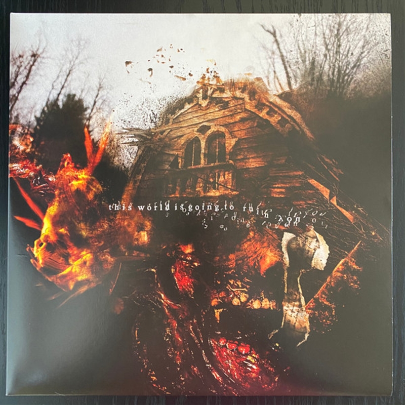 This World Is Going To Ruin Yo/Product Detail/Rock/Pop