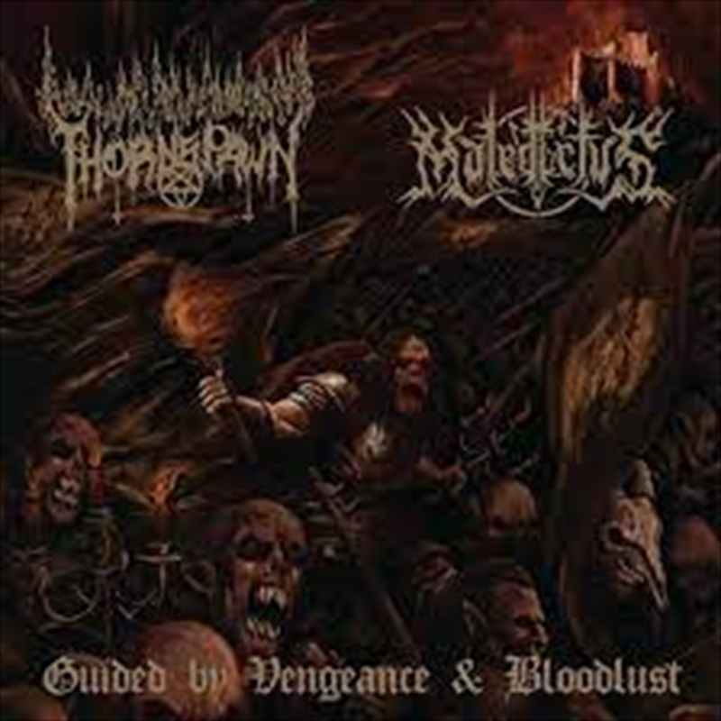 Guided By Vengeance And Bloodlust/Product Detail/Rock/Pop