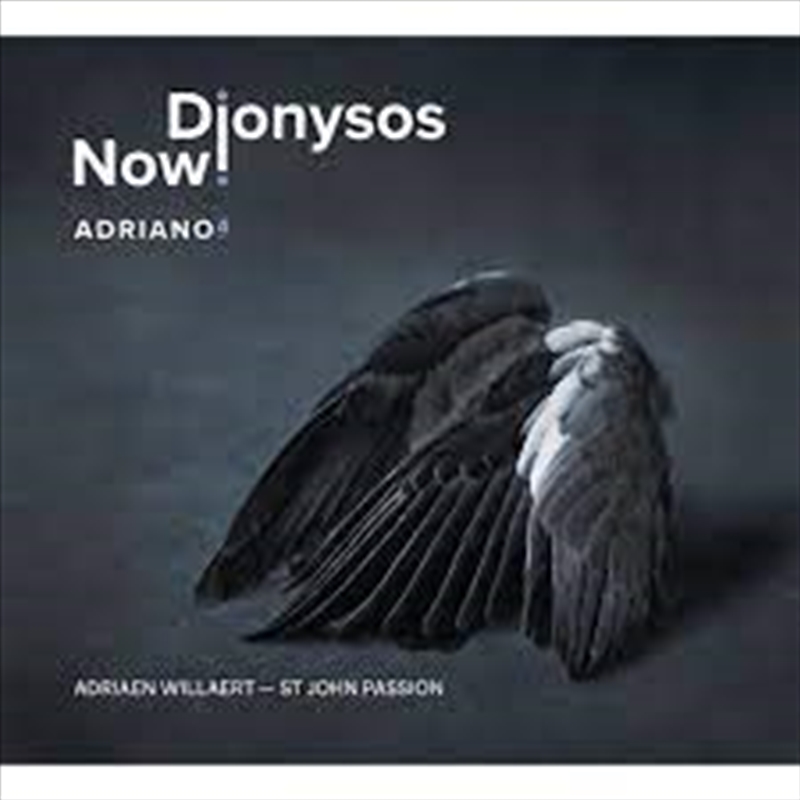 Adriano 4/Product Detail/Classical