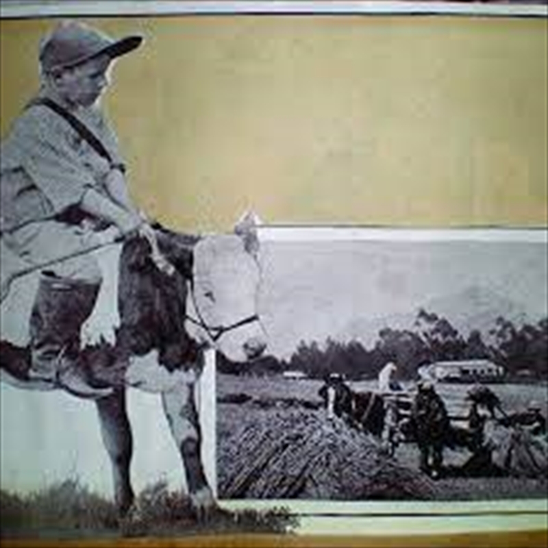 I Crossed Out The Options/Product Detail/Rock/Pop