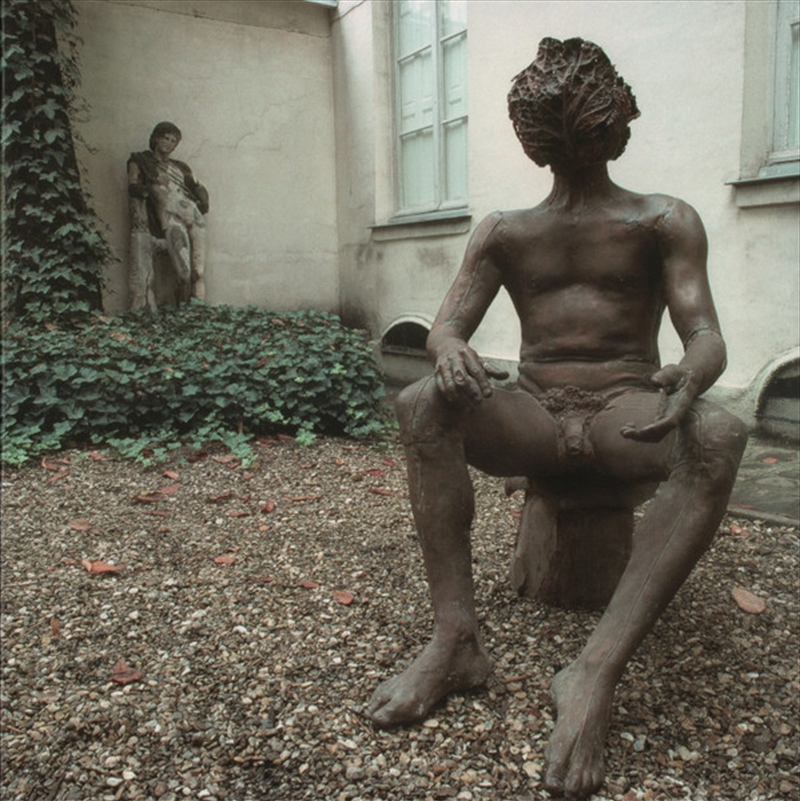 L'Homme A Tete De Chou: Ltd/Product Detail/Rock/Pop