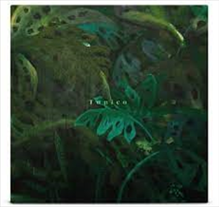 Tunico/Product Detail/Jazz