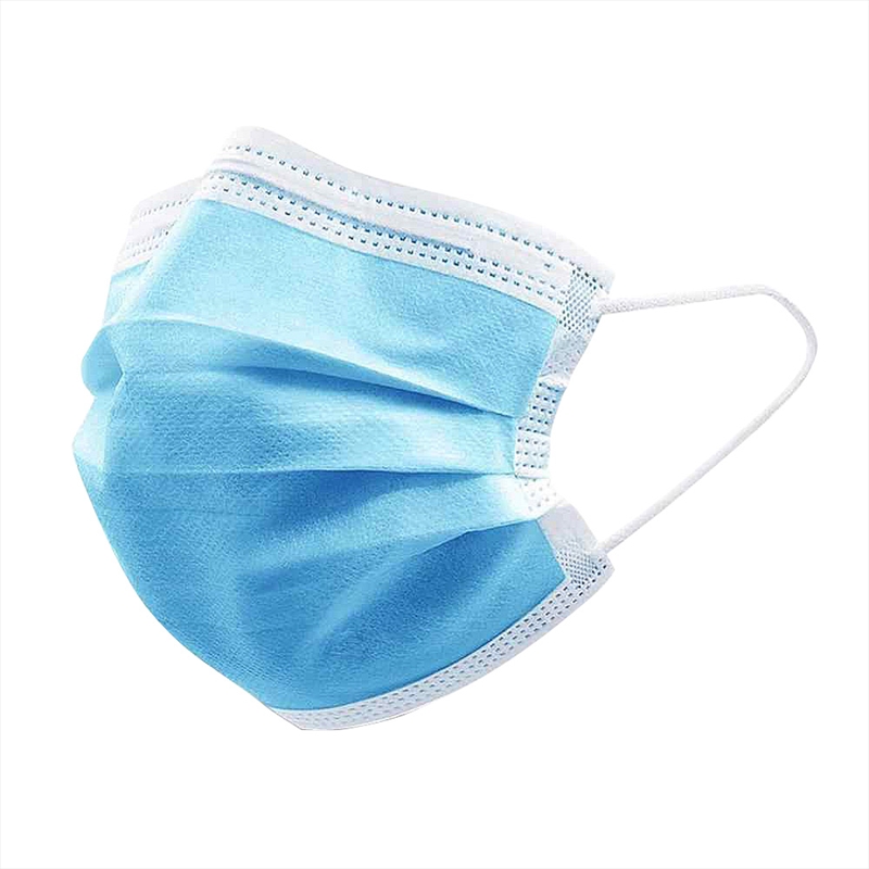 3 Ply Disposable Mask (10pcs)/Product Detail/Accessories