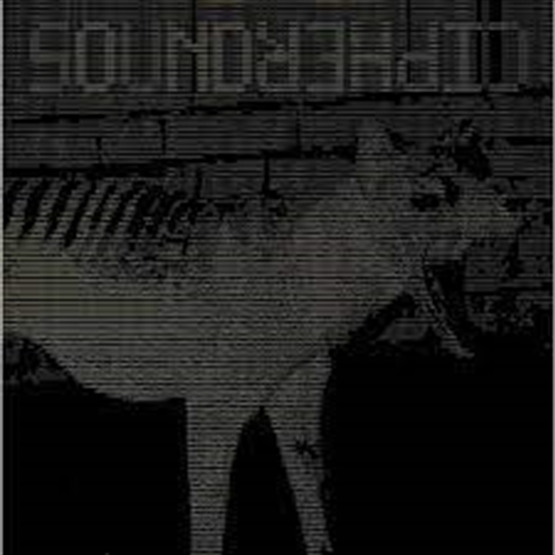 All That Syncs Must Diverge/Product Detail/Jazz