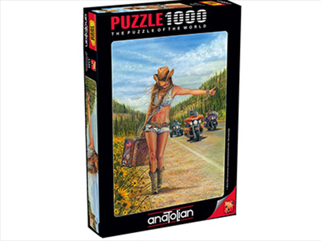 American Gypsy 1000 Piece/Product Detail/Jigsaw Puzzles