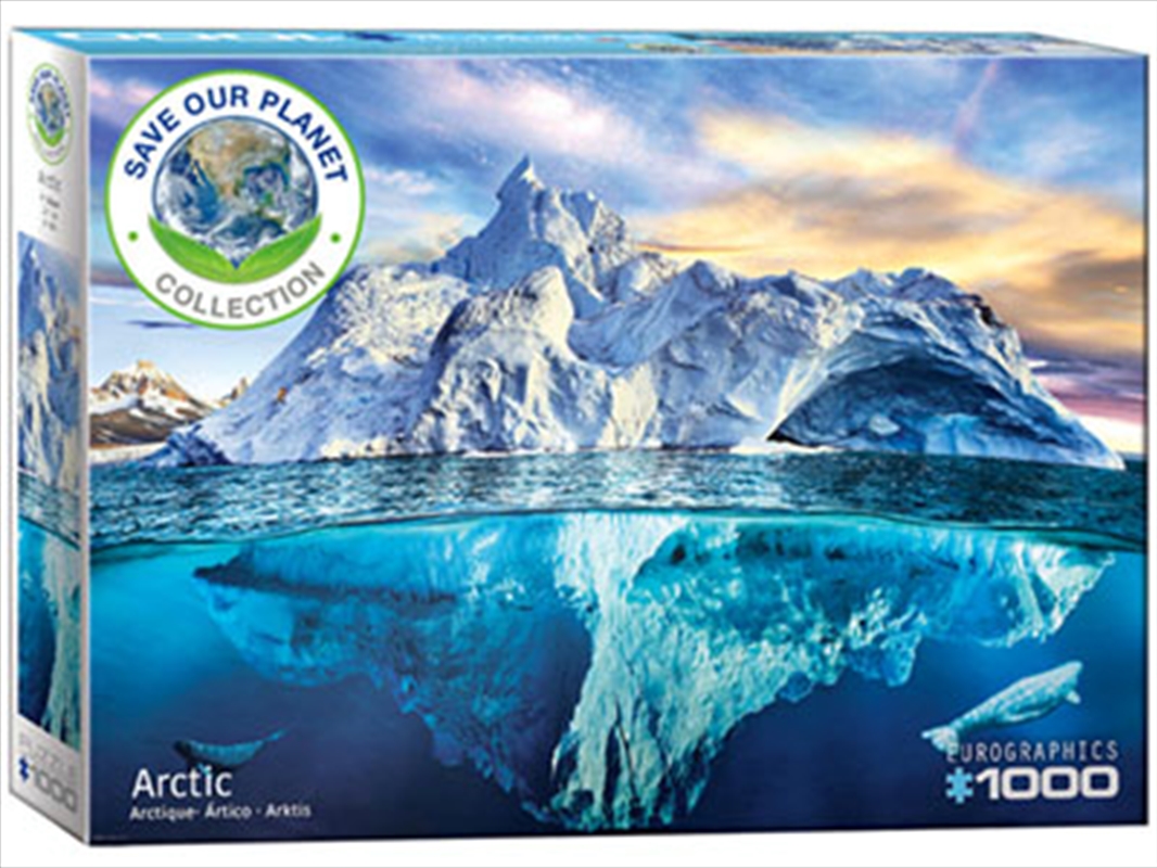 Arctic 1000 Piece/Product Detail/Jigsaw Puzzles