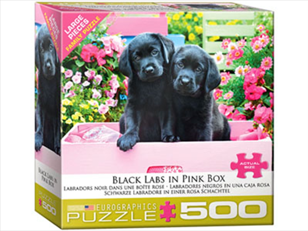 Black Labs In Pink Box 500 Piece Xl/Product Detail/Jigsaw Puzzles