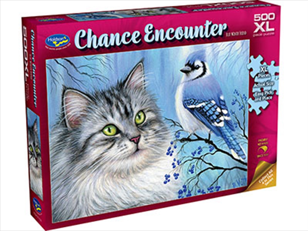 Chance Encounter Blue Winter 500 Piece Xl/Product Detail/Jigsaw Puzzles