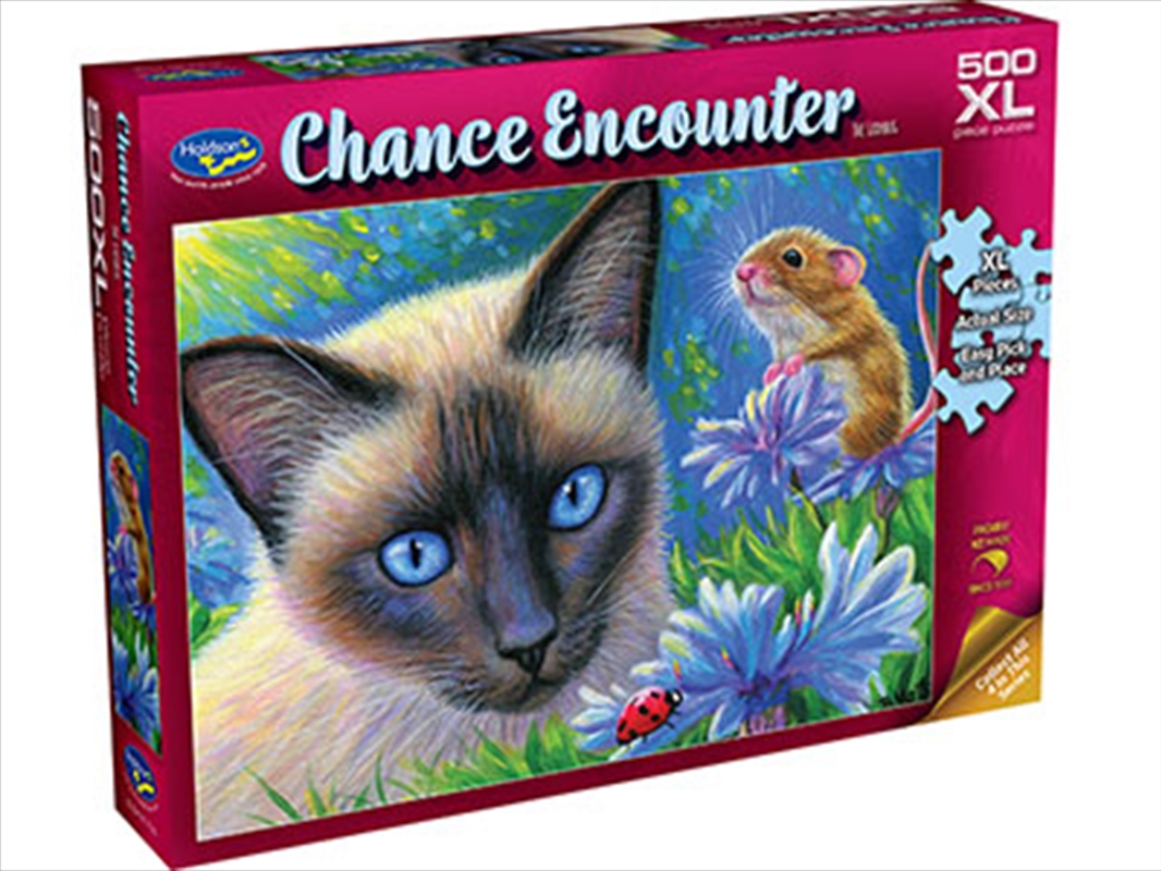 Chance Encounter Ladybg 500 Piece Xl/Product Detail/Jigsaw Puzzles