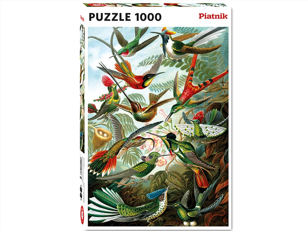 Haeckel, Hummingbirds 1000 Piece/Product Detail/Jigsaw Puzzles