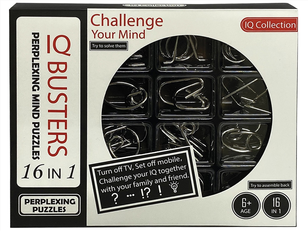 Iq Busters 16 Wire Puzzles Blk/Product Detail/Adult Games