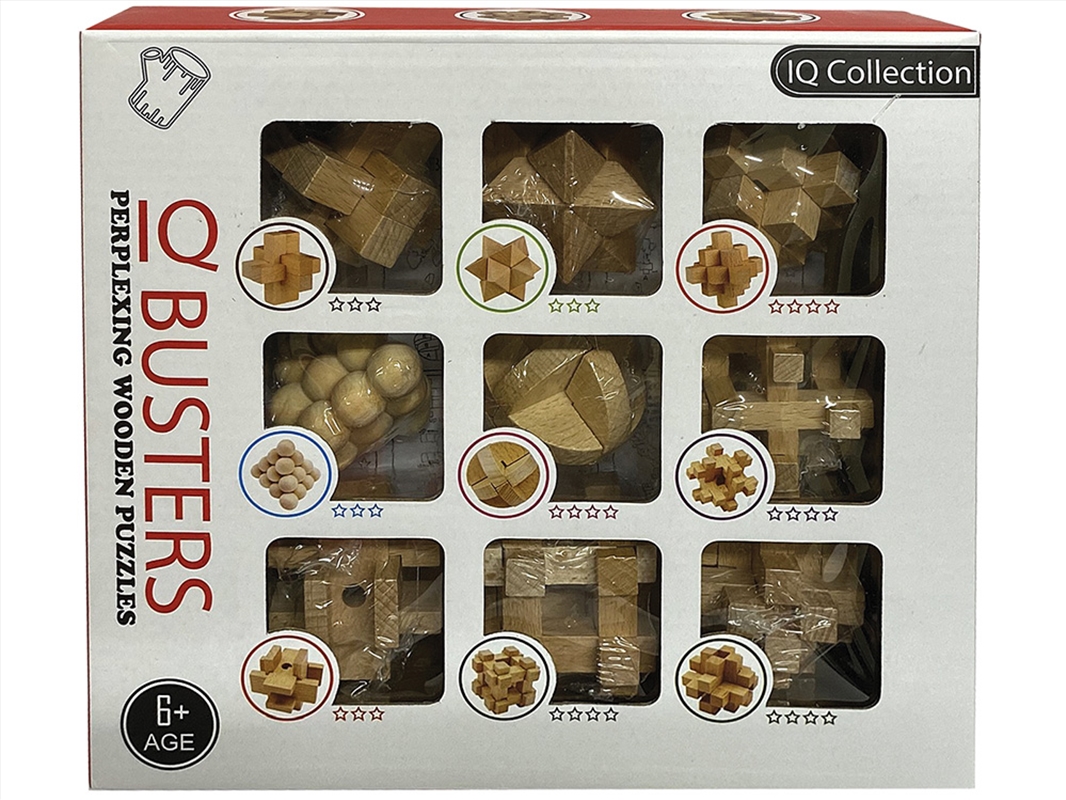 Iq Busters Set Of 9 Wooden/Product Detail/Adult Games